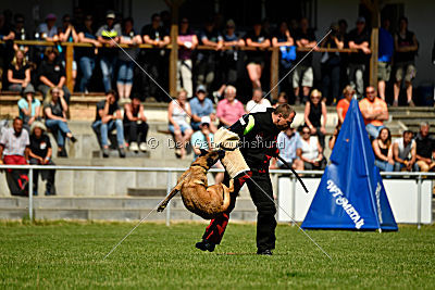 Assira vom Streitwald