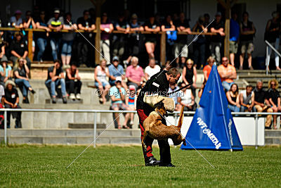 Assira vom Streitwald