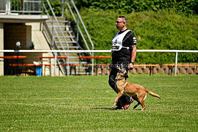 Assira vom Streitwald