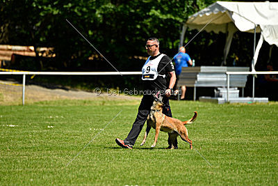 Assira vom Streitwald