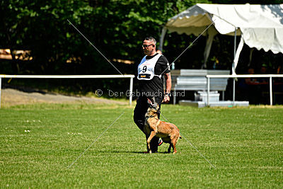 Assira vom Streitwald