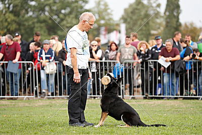 Asti vom Hundehager