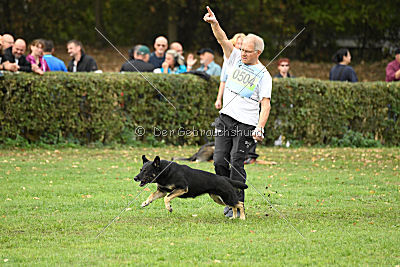 Asti vom Hundehager