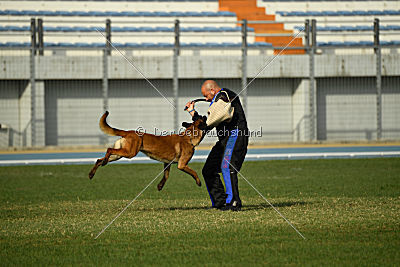 Ator van Hundespiel