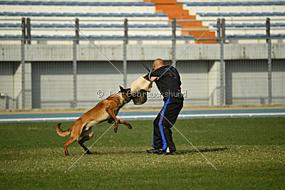 Ator van Hundespiel