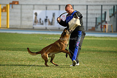 Ator van Hundespiel