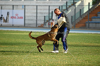 Ator van Hundespiel