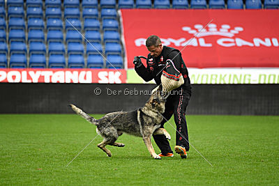 Attaque von Haus Pixner