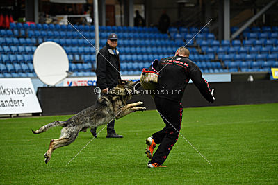 Attaque von Haus Pixner