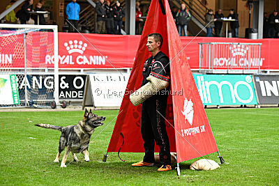 Attaque von Haus Pixner