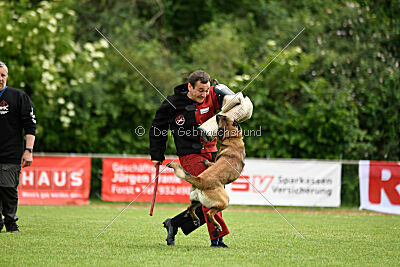 Atze vom Heidländer Wappen