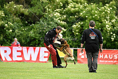 Atze vom Heidländer Wappen
