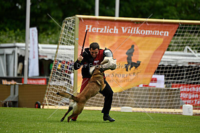 Atze vom Heidländer Wappen