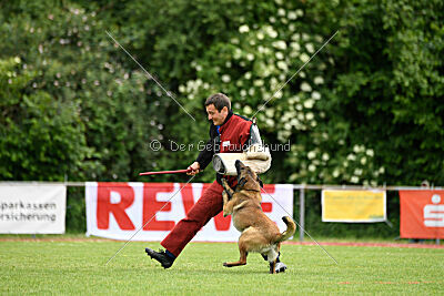 Atze vom Heidländer Wappen