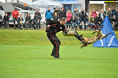 Atze vom Heidländer Wappen