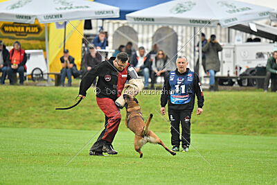 Atze vom Heidländer Wappen