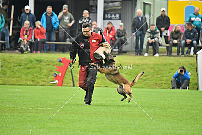Atze vom Heidländer Wappen