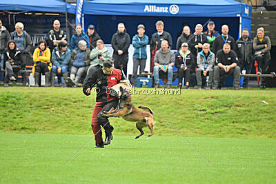 Atze vom Heidländer Wappen