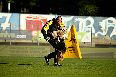 Atzipora von SprungLila