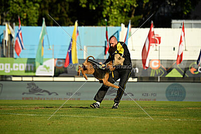 Atzipora von SprungLila