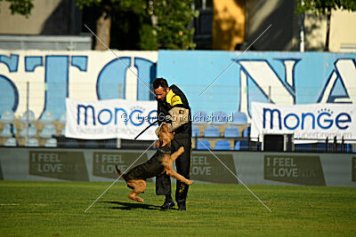 Atzipora von SprungLila