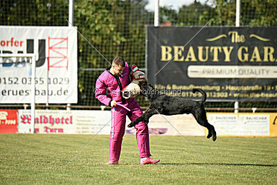 August vom Lindelbrunn