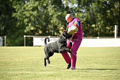 August vom Lindelbrunn