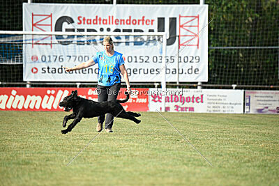 August vom Lindelbrunn