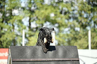 August vom Lindelbrunn