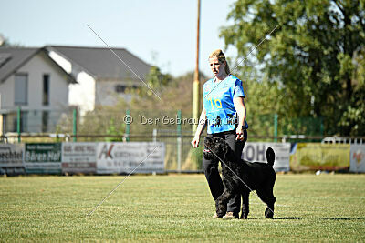 August vom Lindelbrunn