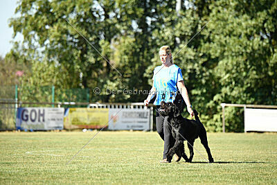 August vom Lindelbrunn