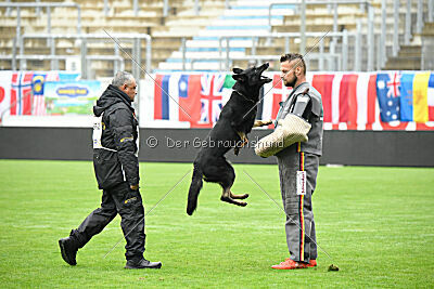 August vom Team Wieratal