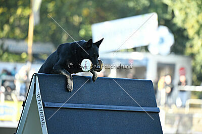 August vom Team Wieratal