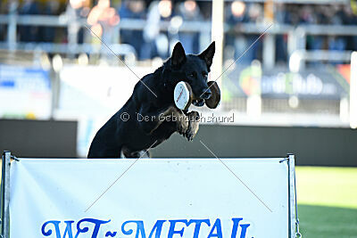 August vom Team Wieratal