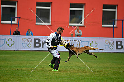 Avenger de Fontemordant