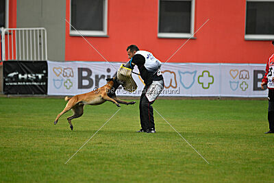 Avenger de Fontemordant