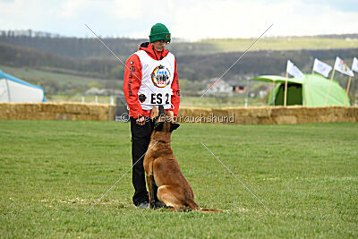 Avenger de Fontemordant