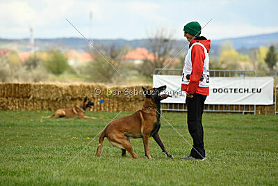 Avenger de Fontemordant