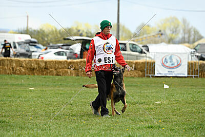 Avenger de Fontemordant