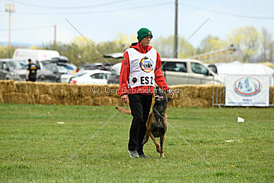 Avenger de Fontemordant