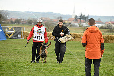 Avenger de Fontemordant