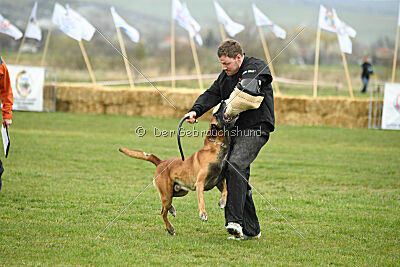 Avenger de Fontemordant