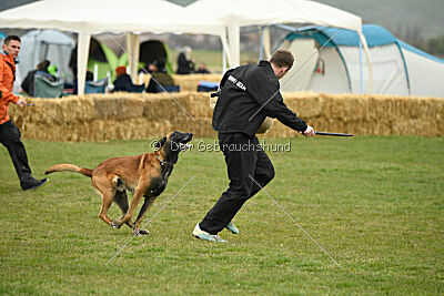 Avenger de Fontemordant