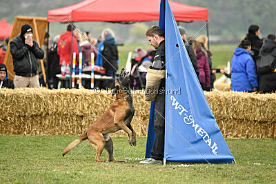 Avenger de Fontemordant