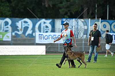 Avenger de Fontemordant