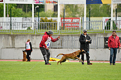 Avenger de Fontemordant