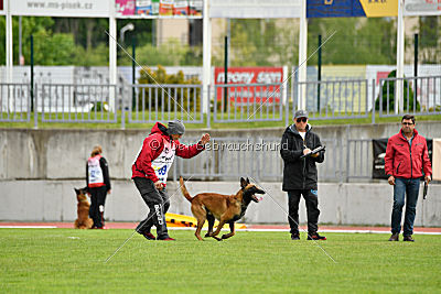 Avenger de Fontemordant
