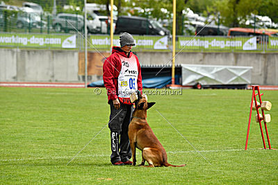 Avenger de Fontemordant
