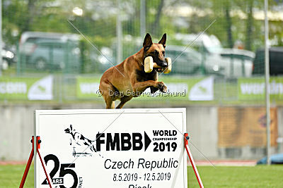 Avenger de Fontemordant