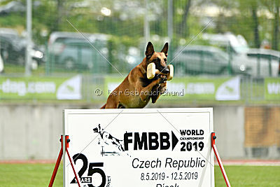 Avenger de Fontemordant